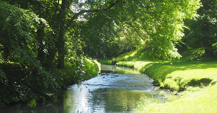 Auckland Park in Bishop Auckland 